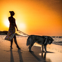 kobieta z psem alaskan malamute na plaży w Juracie zachód słońca