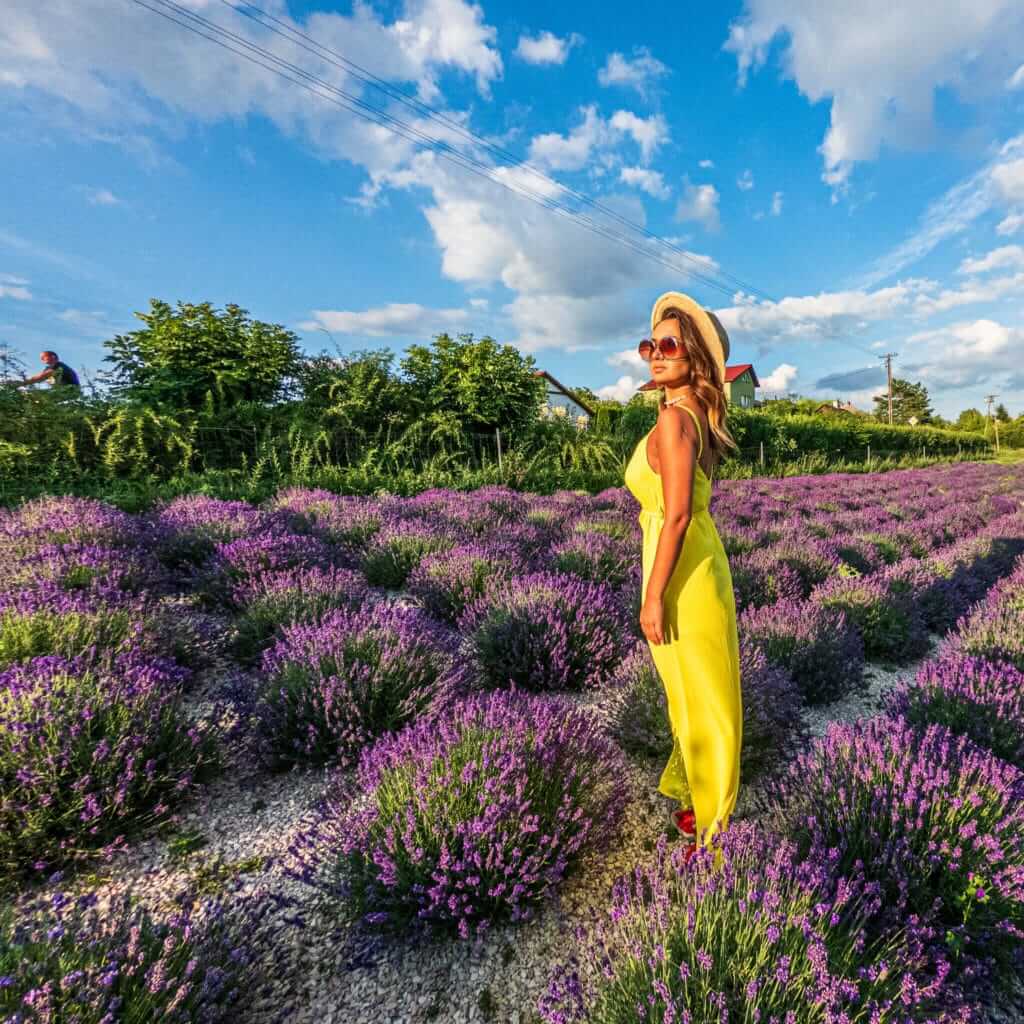 Lavendel Natur Haus w Rejowcu koło Chełma.