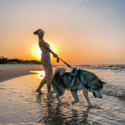 dziewczyna z psem alaskan malamut na plaży w Juracie zachód słońca